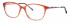 Ferucci FE484 glasses in Brown