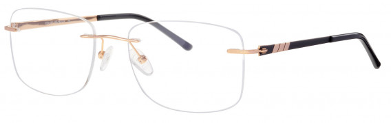 Ferucci Titanium FE735 glasses in Black/Gold