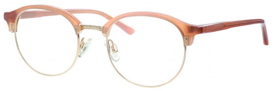 Synergy SYN6033 glasses in Brown/Gold