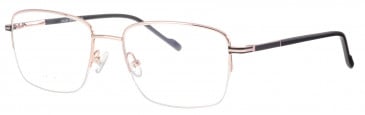 Ferucci Titanium FE728 glasses in Gold