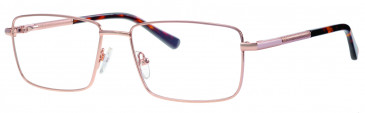 Ferucci FE2034 glasses in Gold