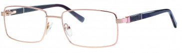 Ferucci FE2035 glasses in Gold