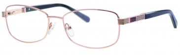 Ferucci FE1814 glasses in Gold