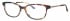 Joia JO2566 glasses in Brown