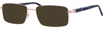 Ferucci FE2035 sunglasses in Gold