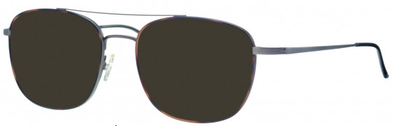 Synergy SYN6025 sunglasses in Havana/Gunmetal