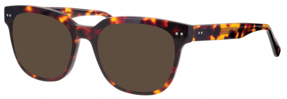 Synergy SYN6043 sunglasses in Havana