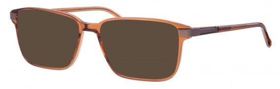 Ferucci FE198 sunglasses in Brown