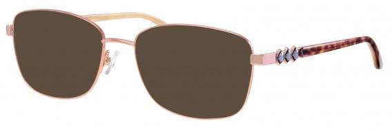Ferucci FE1817 sunglasses in Gold