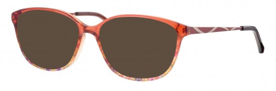 Ferucci FE484 sunglasses in Brown