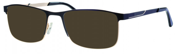 Colt CO3537 sunglasses in Black/Gold