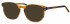 Impulse IM834 sunglasses in Brown