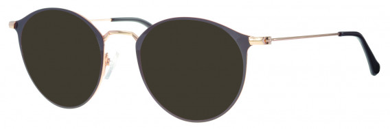 Synergy SYN6029 sunglasses in Brown