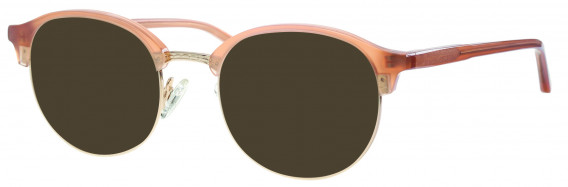 Synergy SYN6033 sunglasses in Brown/Gold