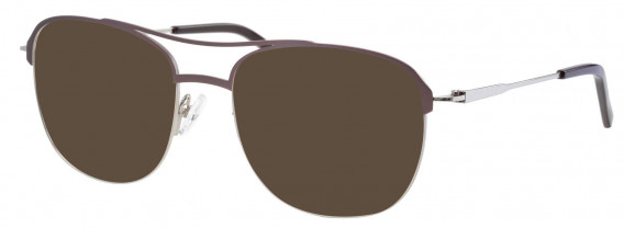 Synergy SYN6037 sunglasses in Brown/Silver