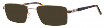 Ferucci FE2032 sunglasses in Gold