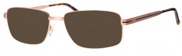 Ferucci FE2041 sunglasses in Gold