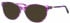 Ferucci FE480 sunglasses in Purple