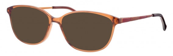 Ferucci FE481 sunglasses in Brown