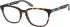 O'Neill ONO-MUIR glasses in Tortoise