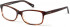 Radley RDO-ANNIE glasses in Amber