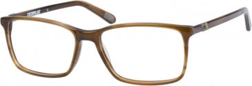 Caterpillar (CAT) CTO-DORMER glasses in Brown