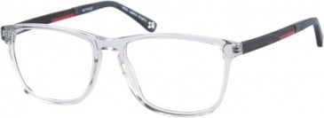 Botaniq BIO-1010 glasses in Crystal Grey