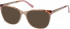 Radley RDO-PORTIA sunglasses in Nude/Tortoise