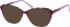 Radley RDO-KADY sunglasses in Burgundy/Purple