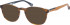 Superdry SDO-DESERT sunglasses in Brown/Navy
