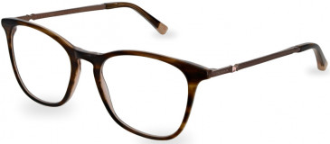 Ted Baker TB9209 glasses in Brown Horn/Teal