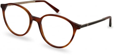 Ted Baker TB9219 glasses in Amber Tortoise