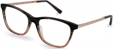 Ted Baker TB9218 glasses in Dark Grey