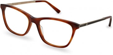 Ted Baker TB9218 glasses in Amber Tortoise