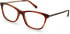 Ted Baker TB9218 glasses in Amber Tortoise
