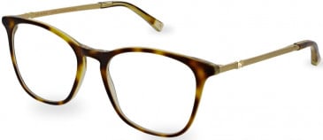 Ted Baker TB9209 glasses in Tortoise/Yellow