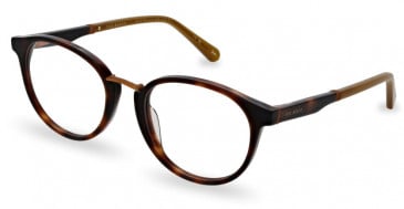 Ted Baker TB8250 glasses in Tortoise