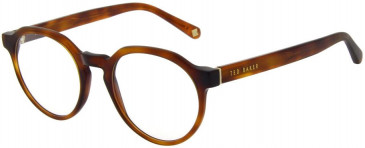 Ted Baker TB8245 glasses in Amber Tortoise