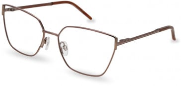 Ted Baker TB2289 glasses in Coffee Gold