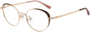 Ted Baker TB2274 glasses in Brown