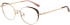 Ted Baker TB2274 glasses in Brown