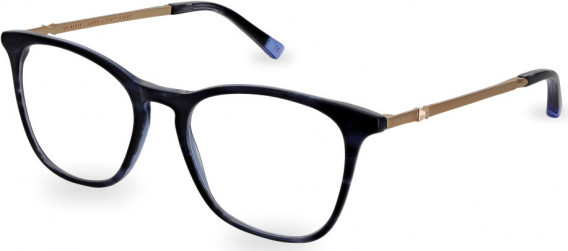 Ted Baker TB9209 glasses in Blue Horn