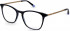 Ted Baker TB9209 glasses in Blue Horn