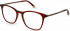 Ted Baker TB9209 glasses in Burgundy/Pink