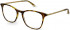 Ted Baker TB9209 glasses in Tortoise/Yellow