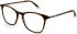 Ted Baker TB9209 glasses in Brown Horn/Teal