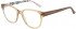 Ted Baker TB9208 glasses in Mocha