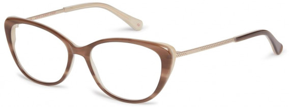 Ted Baker TB9198 glasses in Brown Horn