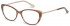 Ted Baker TB9198 glasses in Brown Horn