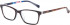 Ted Baker TB9141 glasses in Tortoise/Navy